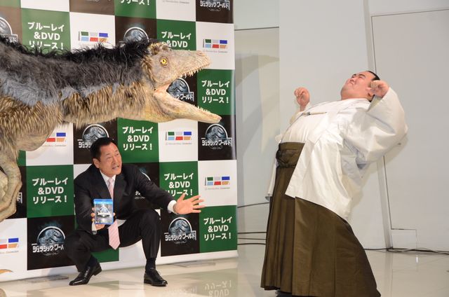 琴奨菊関、琴バウアーで恐竜に対抗!?映画『ジュラシック・ワールド』ブルーレイ&DVDリリース記念イベント:フォトギャラリー