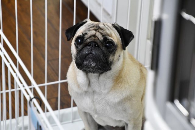 あのドラマが帰ってきた！阿部寛「まだ結婚できない男」場面写真が公開！（8枚目）