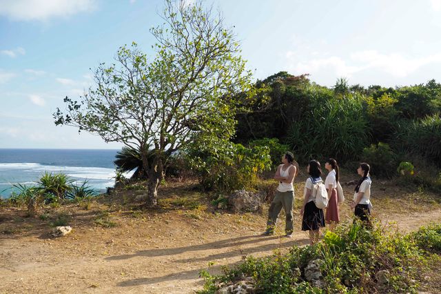 2022年春放送！連続テレビ小説「ちむどんどん」場面カットほか（3枚目）