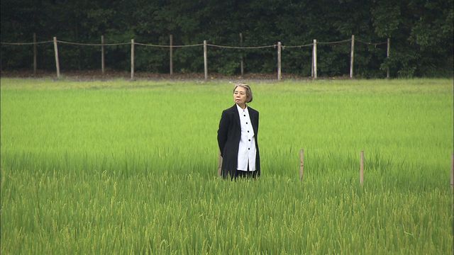 映画『神宮希林 わたしの神様』フォトギャラリー：フォトギャラリー