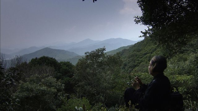 映画『神宮希林 わたしの神様』フォトギャラリー（2枚目）