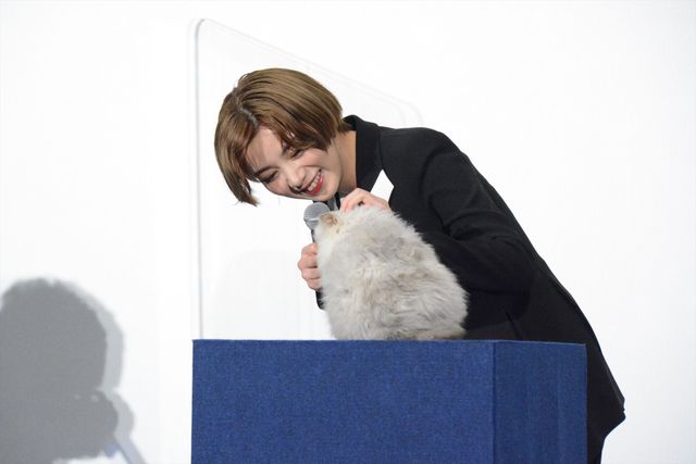 永瀬廉、リモート出演で健康アピール！『真夜中乙女戦争』大ヒット御礼舞台あいさつ（5枚目）