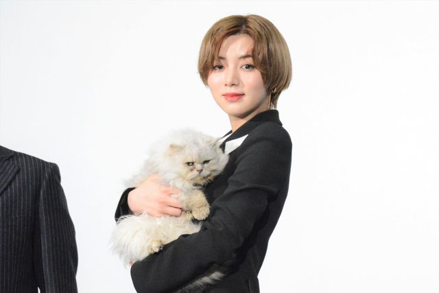 永瀬廉、リモート出演で健康アピール！『真夜中乙女戦争』大ヒット御礼舞台あいさつ（6枚目）