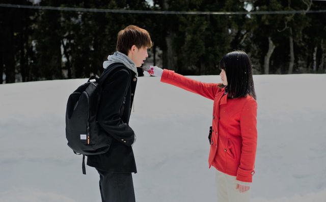 心が崩壊してしまった少女のトラウマ映画『ミスミソウ』（3枚目）