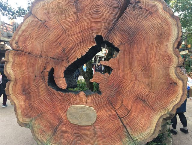 ドナルドこんにちは！新エリア「キャプテン・ウッドチャック」をちらり（5枚目）