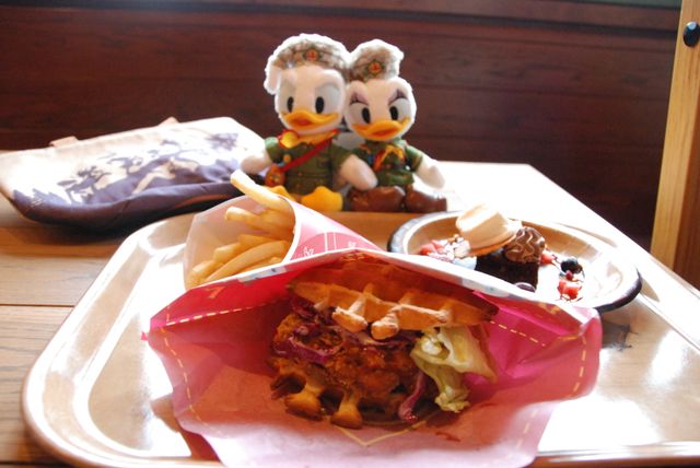 ドナルドこんにちは！新エリア「キャプテン・ウッドチャック」をちらり（6枚目）