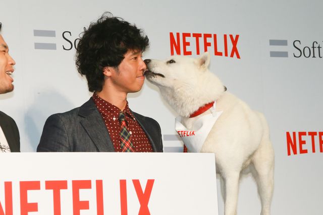 お父さん犬、庄司をペロペロ…「ソフトバンク　新サービス発表会見」フォトギャラリー：フォトギャラリー