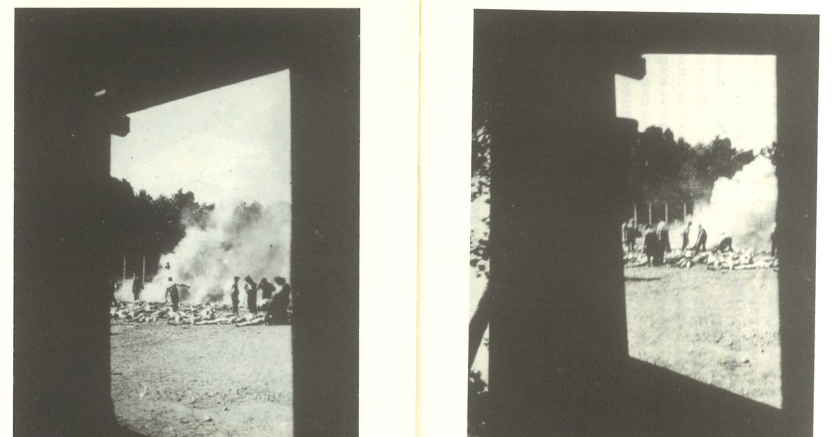 アウシュビッツの惨状を伝える貴重写真 死体処理部隊を扱った映画イベントで解説 シネマトゥデイ