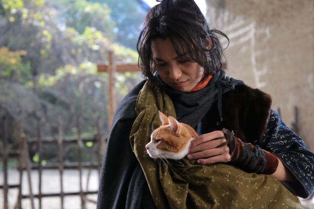 デブ猫・金時の癒やし場面集：フォトギャラリー