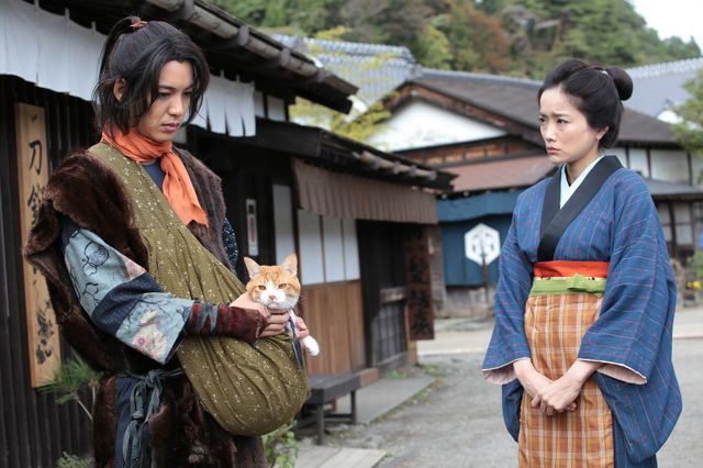 デブ猫・金時の癒やし場面集（2枚目）