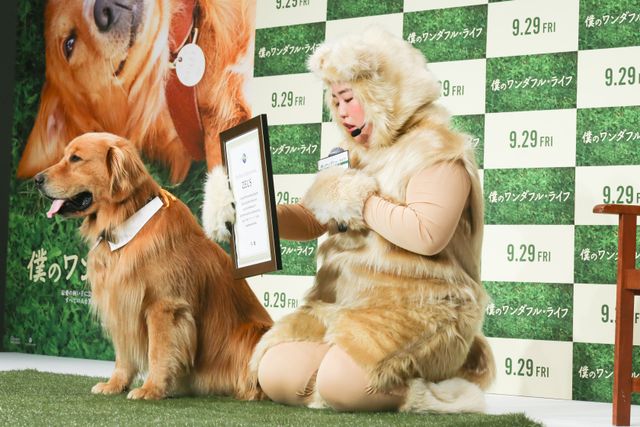 AmazonプライムのCMで人気者に！ふさふさのワンコ・ゼウスくん『僕のワンダフル・ライフ』宣伝ワンバサダー就任会見イベント：フォトギャラリー