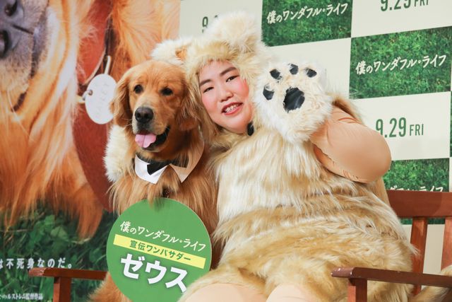AmazonプライムのCMで人気者に！ふさふさのワンコ・ゼウスくん『僕のワンダフル・ライフ』宣伝ワンバサダー就任会見イベント（2枚目）