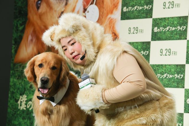 AmazonプライムのCMで人気者に！ふさふさのワンコ・ゼウスくん『僕のワンダフル・ライフ』宣伝ワンバサダー就任会見イベント（4枚目）
