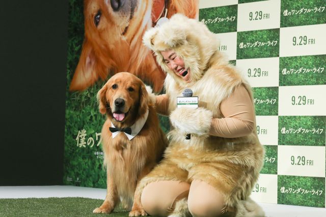 AmazonプライムのCMで人気者に！ふさふさのワンコ・ゼウスくん『僕のワンダフル・ライフ』宣伝ワンバサダー就任会見イベント（5枚目）