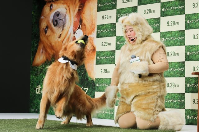 AmazonプライムのCMで人気者に！ふさふさのワンコ・ゼウスくん『僕のワンダフル・ライフ』宣伝ワンバサダー就任会見イベント（6枚目）