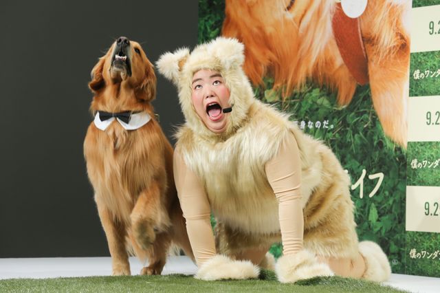 AmazonプライムのCMで人気者に!ふさふさのワンコ・ゼウスくん『僕のワンダフル・ライフ』宣伝ワンバサダー就任会見イベント(7枚目)