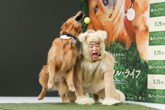 AmazonプライムのCMで人気者に！ふさふさのワンコ・ゼウスくん『僕のワンダフル・ライフ』宣伝ワンバサダー就任会見イベント（8枚目）