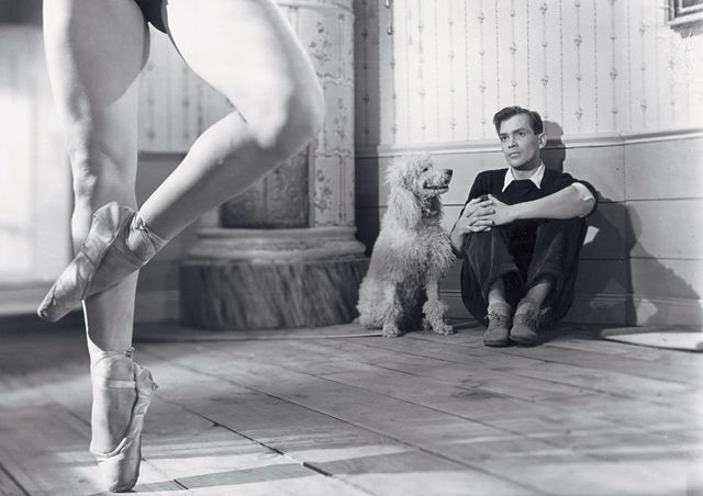 イングマール・ベルイマン監督の代表6作が初ブルーレイ化！フォトギャラリー（13枚目）