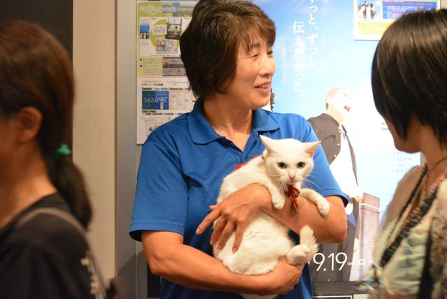 『猫侍』人気白猫がゴロ～ン　『猫侍　南の島へ行く』ティーチインイベントフォトギャラリー（11枚目）