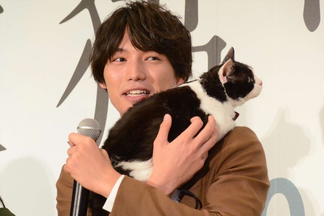 福士蒼汰『旅猫リポート』完成記念カーペットセレモニー（3枚目）