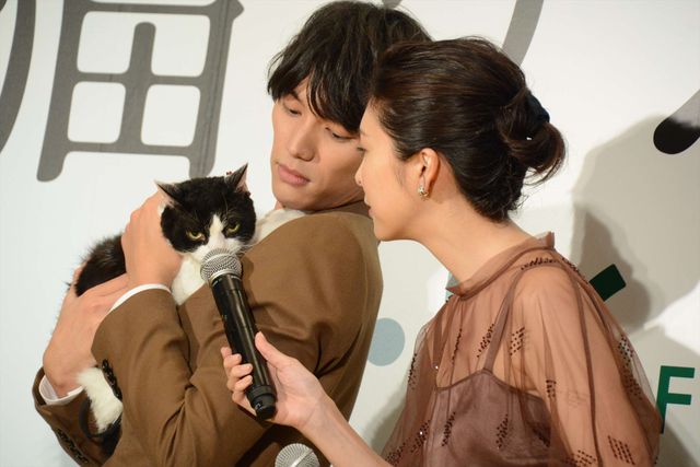 福士蒼汰『旅猫リポート』完成記念カーペットセレモニー（9枚目）