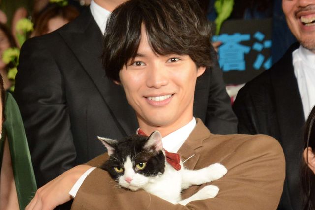 福士蒼汰『旅猫リポート』完成記念カーペットセレモニー（12枚目）
