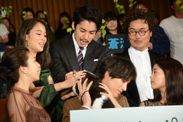 福士蒼汰『旅猫リポート』完成記念カーペットセレモニー（15枚目）