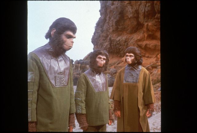 「猿の惑星＜日本語吹替完全版＞コレクターズ・ブルーレイBOX」フォトギャラリー（2枚目）