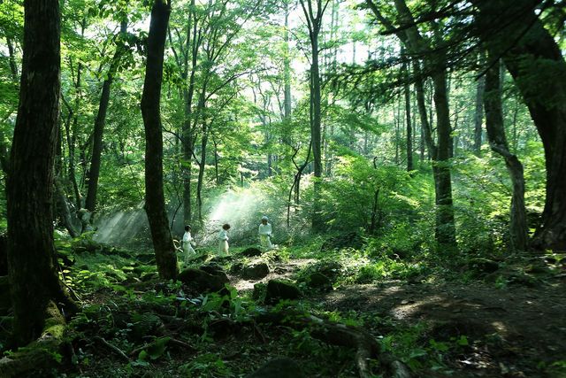 実写版「約束のネバーランド」先行スチール写真（計5枚）（2枚目）