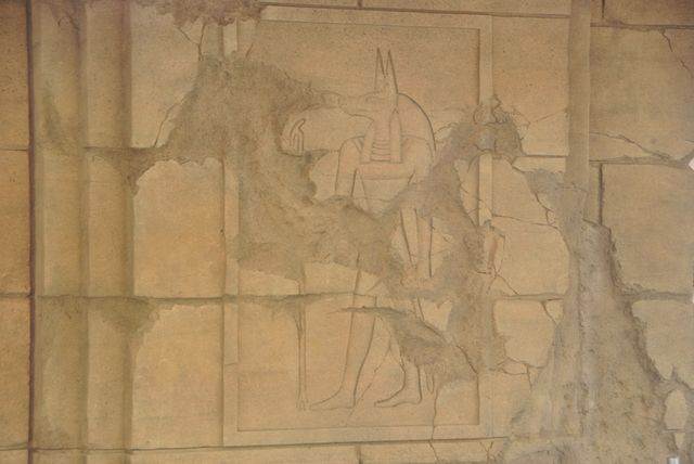 「ザ・マミー・ミュージアム～ハムナプトラ 神々の呪い～」フォトギャラリー（6枚目）