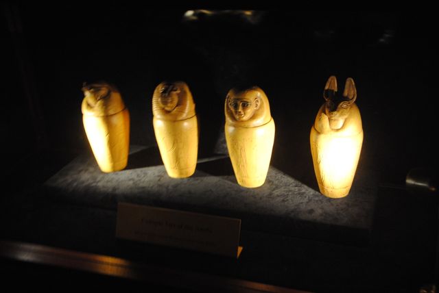 「ザ・マミー・ミュージアム～ハムナプトラ 神々の呪い～」フォトギャラリー（23枚目）