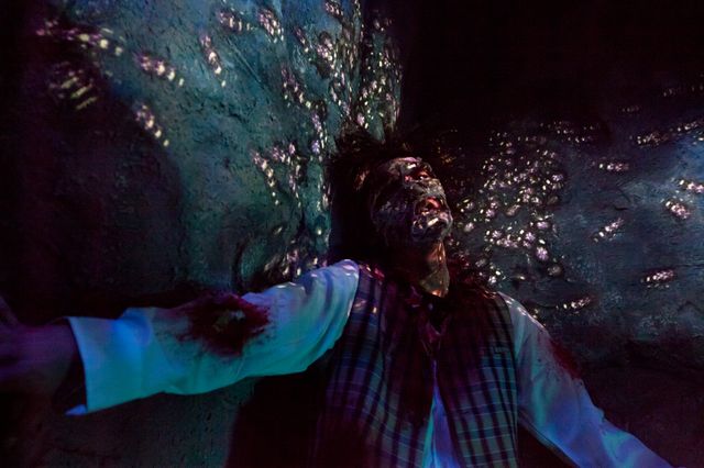 「ザ・マミー・ミュージアム～ハムナプトラ 神々の呪い～」フォトギャラリー（25枚目）