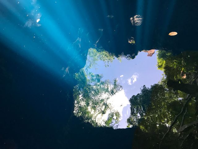 タル・ベーラの弟子！小田香監督の最新作『セノーテ』（7枚目）