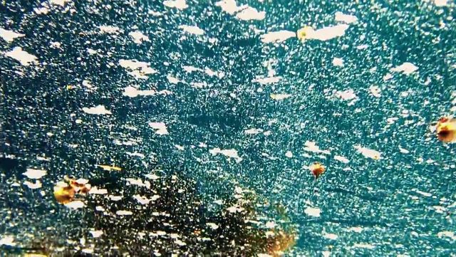 タル・ベーラの弟子！小田香監督の最新作『セノーテ』（10枚目）