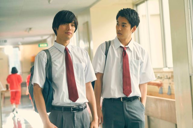 福士蒼汰、広瀬アリス、大野拓朗が同級生に！『旅猫リポート』場面写真：フォトギャラリー