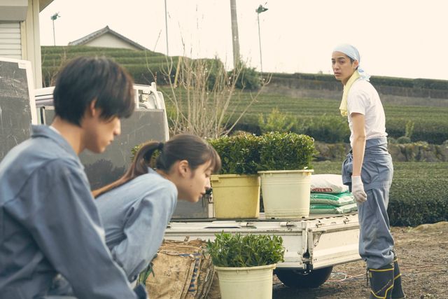 福士蒼汰、広瀬アリス、大野拓朗が同級生に！『旅猫リポート』場面写真（2枚目）