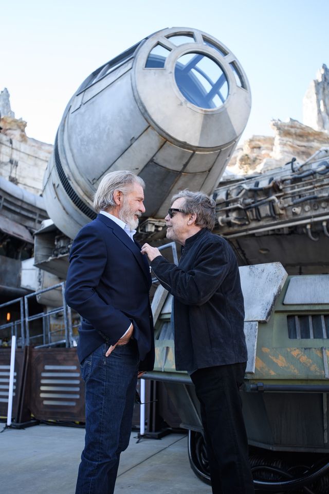 「スター・ウォーズ：ギャラクシーズ・エッジ」オープニングセレモニー（3枚目）