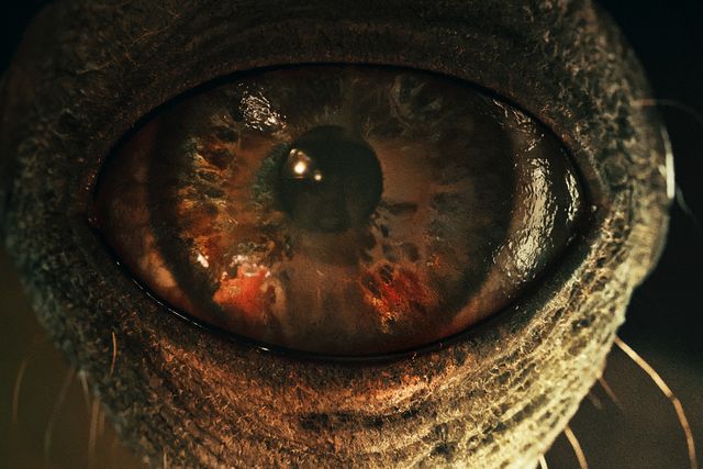 人間が怪物に姿を変える！韓国ドラマ「Sweet Home －俺と世界の絶望－」場面カット：フォトギャラリー