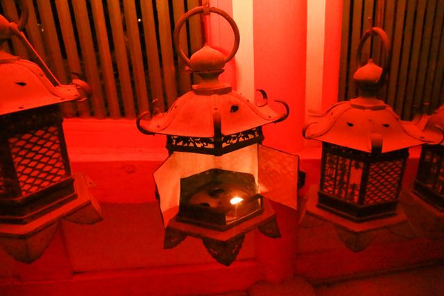 幻想的！奈良・春日大社で釣灯籠に献灯！フォトギャラリー（33枚目）