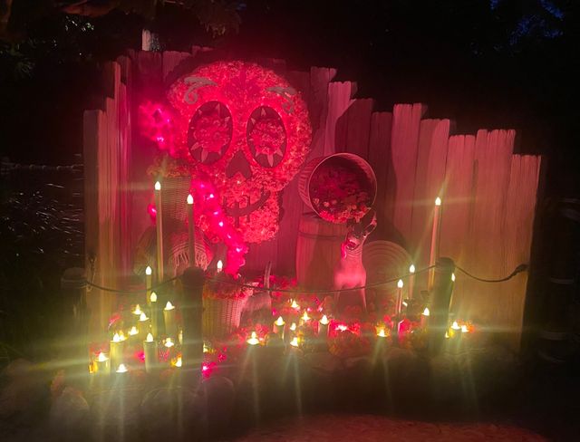 「ディズニー・ハロウィーン」の様子をチラ見せ（10枚目）