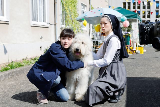 癒やしのモフモフ感…『ハウ』場面写真（5枚目）