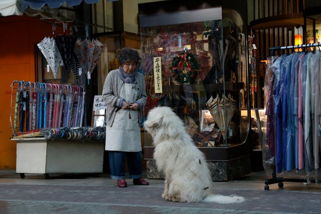 癒やしのモフモフ感…『ハウ』場面写真（6枚目）