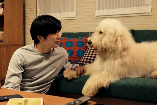 癒やしのモフモフ感…『ハウ』場面写真（7枚目）