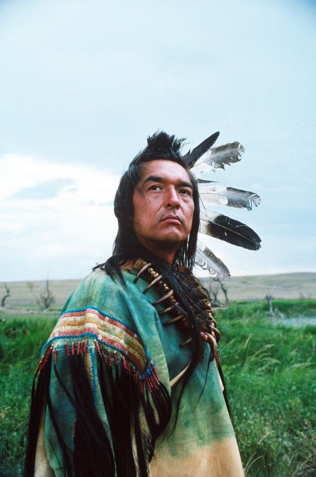 R.I.P『ダンス・ウィズ・ウルブズ』のグレアム・グリーンさん