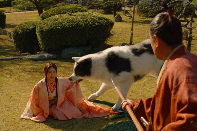 美しすぎる女装姿も…映画『八犬伝』迫力溢れる場面写真（14枚目）