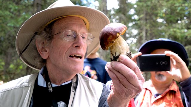 神秘的…『素晴らしき、きのこの世界』場面写真（7枚目）