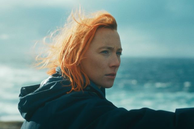 映画『おくびょう鳥が歌うほうへ』より