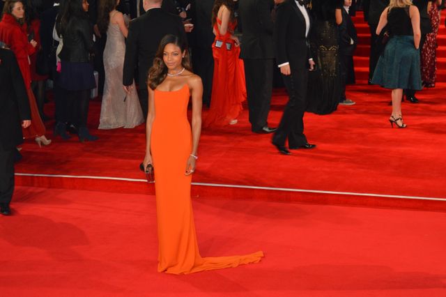 250枚超え！ダニエル・クレイグ、ベン・ウィショー、マーティン・フリーマンも！『007 スペクター』ロイヤルプレミア写真ギャラリー（164枚目）