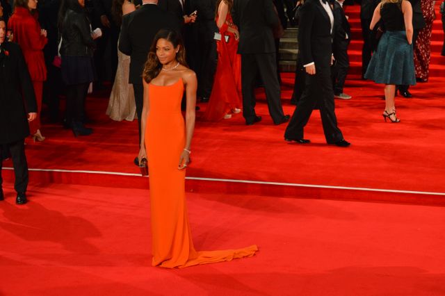 250枚超え！ダニエル・クレイグ、ベン・ウィショー、マーティン・フリーマンも！『007 スペクター』ロイヤルプレミア写真ギャラリー（165枚目）