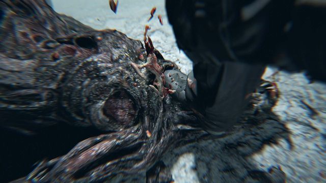 プレイ動画も公開！「バイオハザード7　レジデント イービル」“Not A Hero”（3枚目）